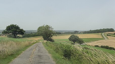 Route de crête en direction de Sainte-Aurence-Cazaux.