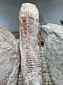 Central of three central stones, Knockmany Chambered Tomb, Co. Tyrone