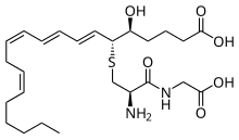 Leukotriene D4