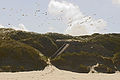 Les restes d'un blockhaus dans les dunes au Touquet-Paris-Plage.