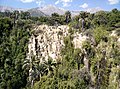 Ocoa palm forest, La Campana National Park.