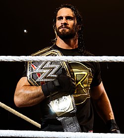 Seth Rollins 2015-ben