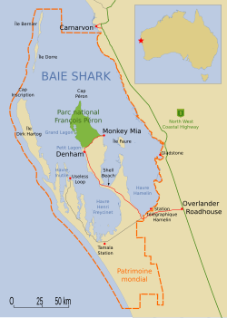 Carte de la baie Shark.