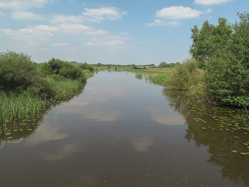 File:Tussen Wolvega en De Blesse, de Linde foto2 2011-05-21 15.43.JPG