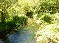 La Rivière de Pont-l'Abbé en amont de l'étang du Moulin Neuf (limite communale entre Tréméoc et Plonéour-Lanvern) 1.