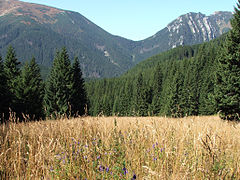 Paso in Tatras (Ornak, Połònia).