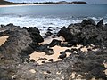 Black volcanic rocks.