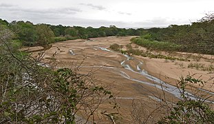 Great Usutu River, border with Mozambique ... (32366799775).jpg