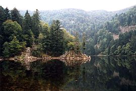 L'Altenweiher.