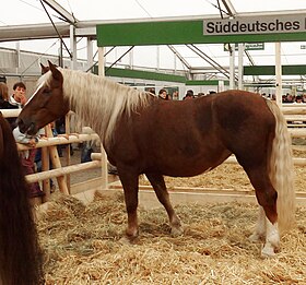 Trait allemand du Sud au Landwirtschaftliches Hauptfest 2010