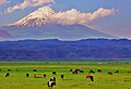 Little Ararat in Turkey.