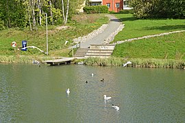 Østbreddden med gangvei til Hovin sør. Foto: Helge Høifødt