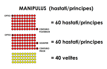 Un manipule standard, composé de deux centuries de hastati ou de principes, et d'un groupe de javeliniers légers (les vélites).