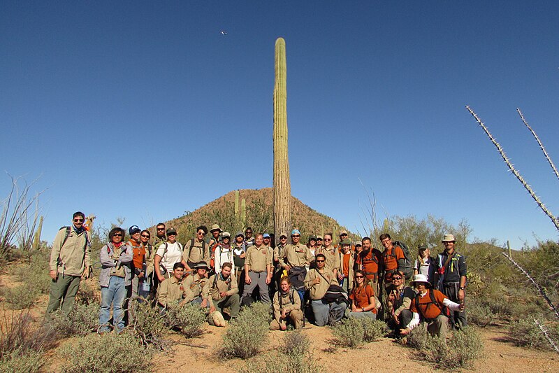 File:Members from AZCC surveyed saguaros on Plot 38 for the Centennial Saguaro Survey program. (d0f97c6c-1dd8-b71b-0b66-bea24b17c153).JPG