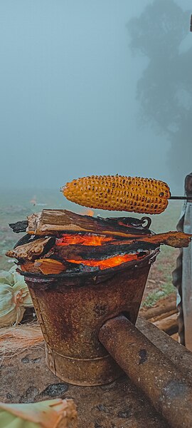 File:Cone on hill.jpg