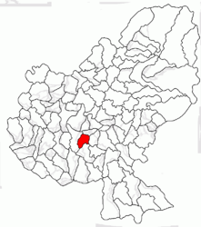 Location in Mureș County