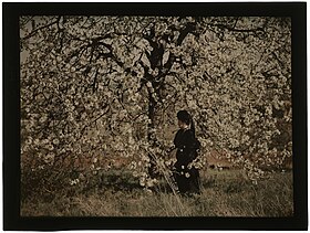 Femme en noir sous un arbre en fleurs.