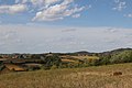 Blizonje - Panorama