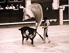 Serpentina-Joselito, Leganés, 30 julio 1998.jpg