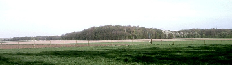 File:Viersen-BockerterHeide(Welterspeschen).jpg