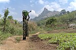 Thumbnail for File:Woman with watering can, Dent de Man.jpg