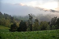 Southern slopes of Acheshbok.