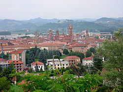 View of the city of Alba