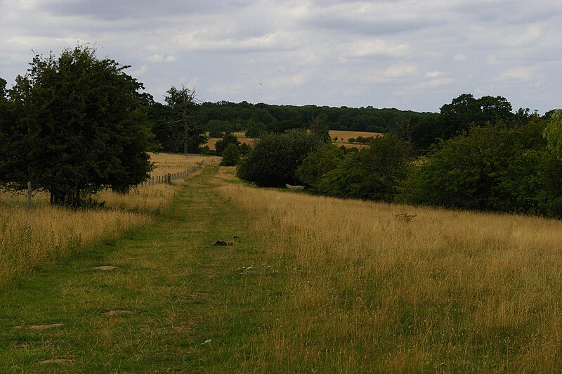 File:Ickworth House, track following the River Linnet - geograph.org.uk - 4670445.jpg