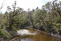 Pororari River upstream of the gorge