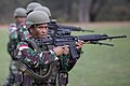 Para prajurit TNI tampak berlatih dengan Pindad SS2-V4 Heavy Barrel