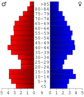 Bevolkingspiramide Hubbard County