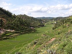 小沙江鎮付近の田園風景