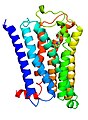 5-HT1F-Rezeptor