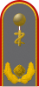 Generalarzt (dental medicine)