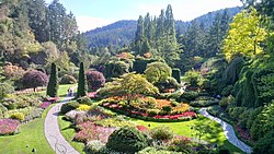 Butchart Gardens