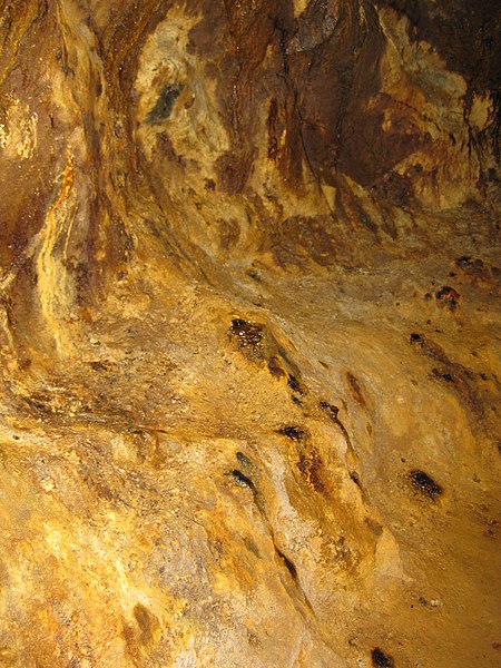 File:Rosia Montana Roman Gold Mines 2011 - Wall Detail-4.jpg