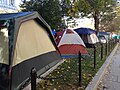 Occupy DC, Vášêtaëno 2011