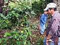 A farmer on his small coffee farm in the highlands of Quilalí