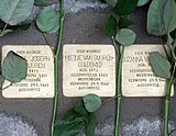 21 Stolpersteine (2010)