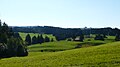 Kempter Wald bei Berleberg