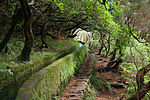 Levadas auf der Insel Madeira