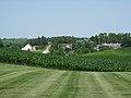 Image 43Central Iowa cornfield and dairy in June (from Iowa)