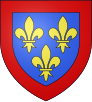 Armes des ducs d'Anjou.