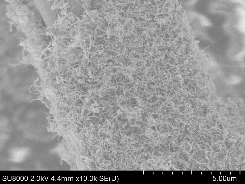 File:CNF on a glass-fiber catalyst.tif