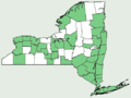 New York distribution map