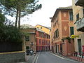 Nervi: Capolungo