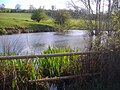 The headwater of the River Nene, on the north east slope of Arbury Hill in 2008