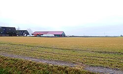 Wierdeaanvulling vanuit het noorden (2011)