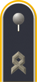 Dienstgradabzeichen auf der Schulterklappe der Jacke des Dienstanzuges für Luftwaffenuniformträger.