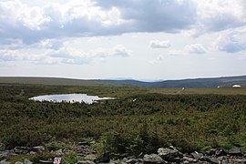 Lac sur le plateau au sommet du Mont-Albert